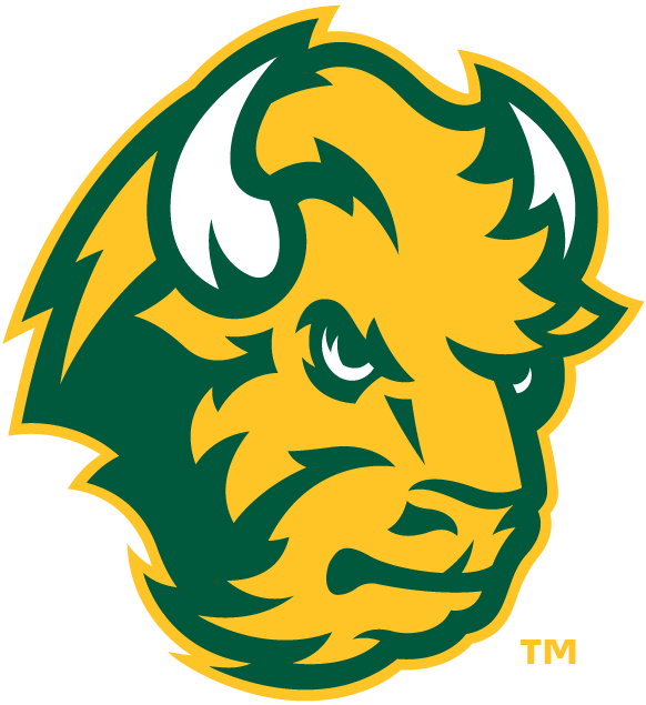 North Dakota State Bison 2012-Pres Alternate Logo diy iron on heat transfer